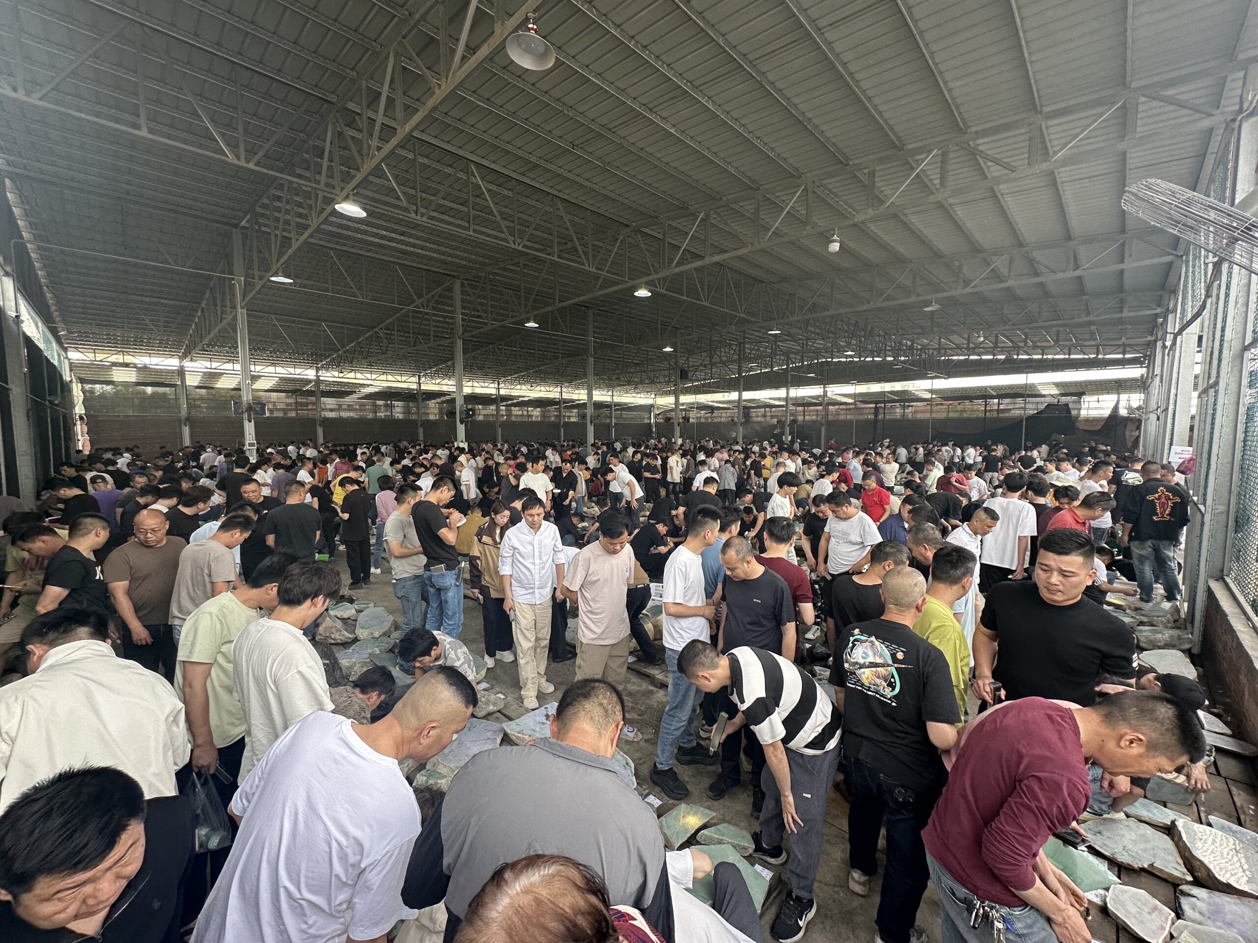 2026年首场四会缅格拉翡翠公盘火热开盘！6000+玉石毛料货品引爆“开门红”