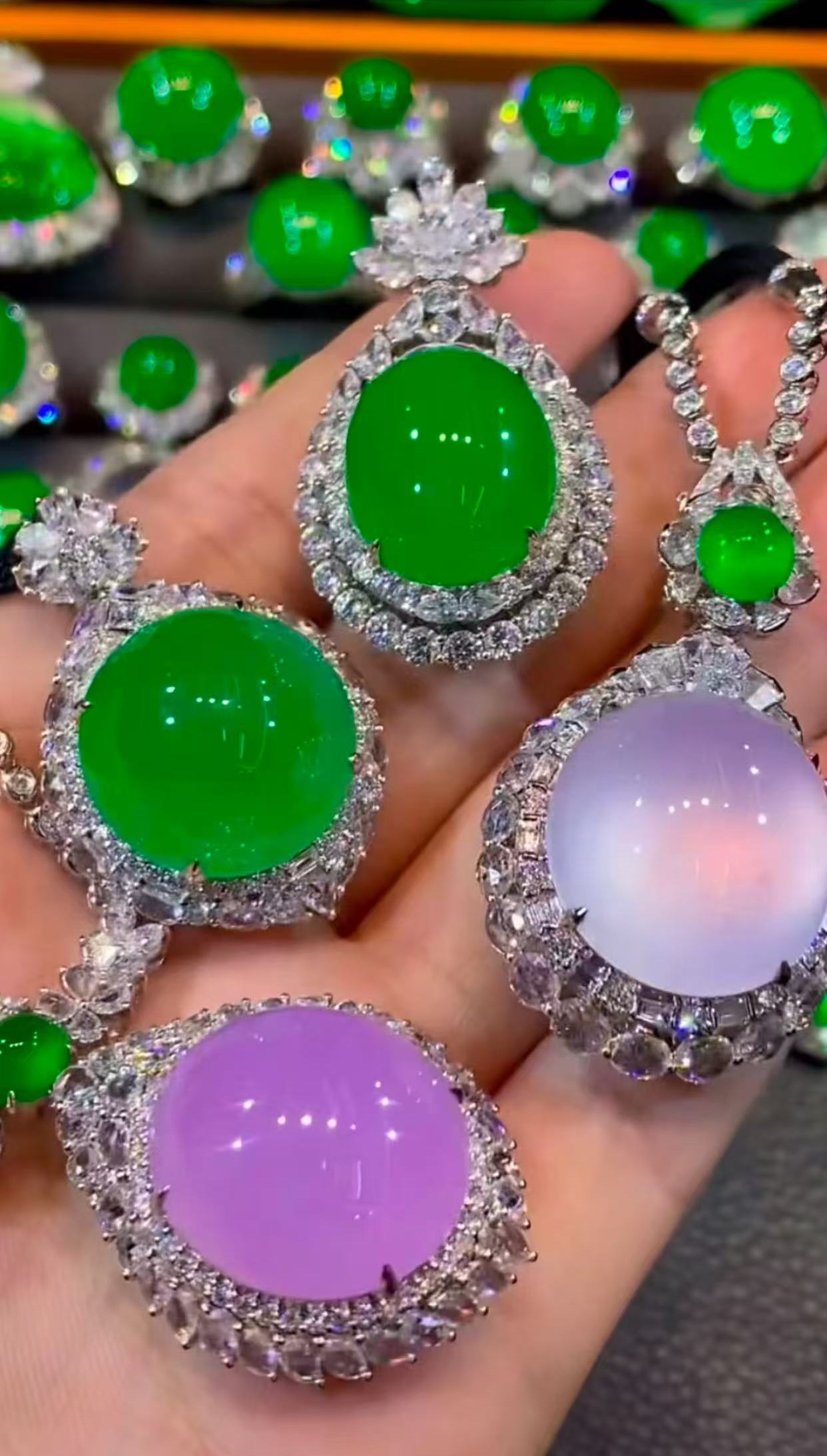 微信图片_20250922163340_34_12 微信图片_20250922163340_34_12