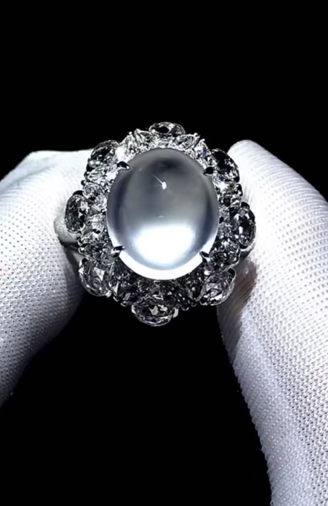 微信图片_20250922163341_35_12 微信图片_20250922163341_35_12